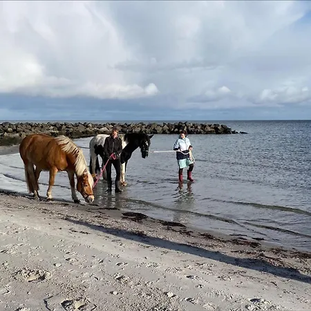 Achtern-diek-fuer-geniesser * שונברגר שטרנד
